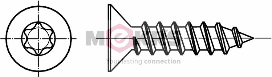 Senk-Blechschrauben Form C, mit TORX A2, 4,8x45